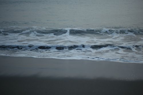 photo : LEICA M8 + Noctilux-M 1:1/50