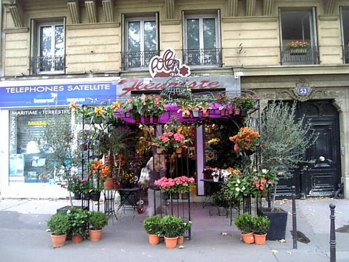 florist's 