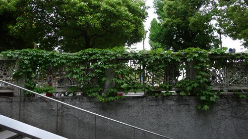 Hijiribashi BRIDGE - Tokyo