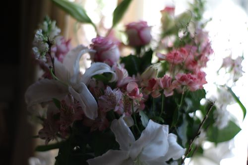 bouquet - leica m8 noctilux 50mm f1