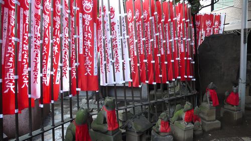 banners fly  and many fox