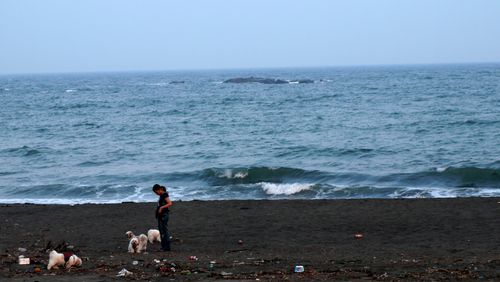 dogs & blue sea