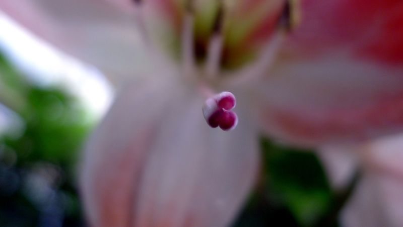 L1010592
