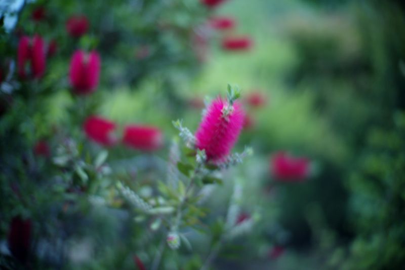 L1010645 L1010645