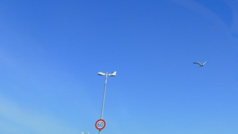L1020648 L1020648