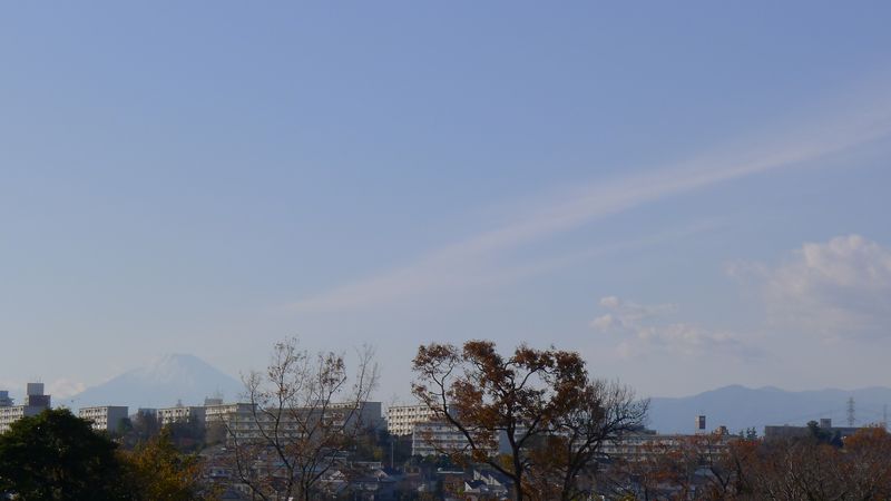 L1020619 L1020619