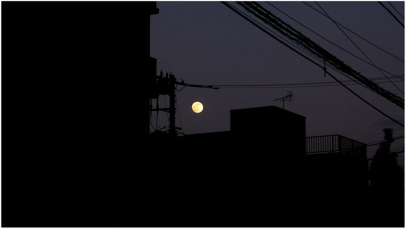 L1020868 L1020868