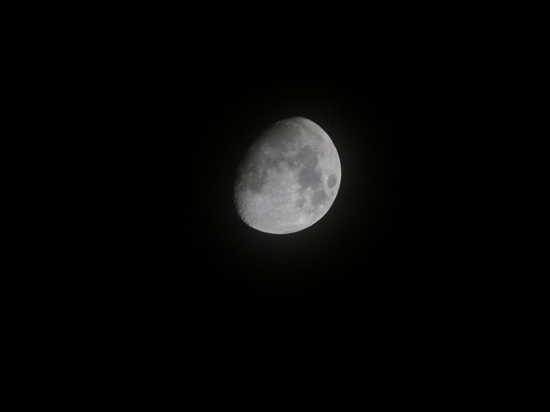L1010956 L1010956
